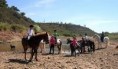 Passeio a cavalo pelos montes do Algarve rural